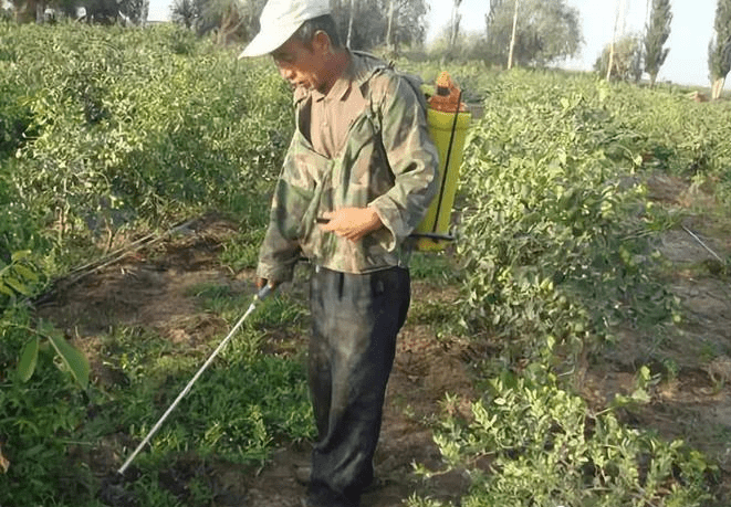 除草劑消泡劑應用場景圖